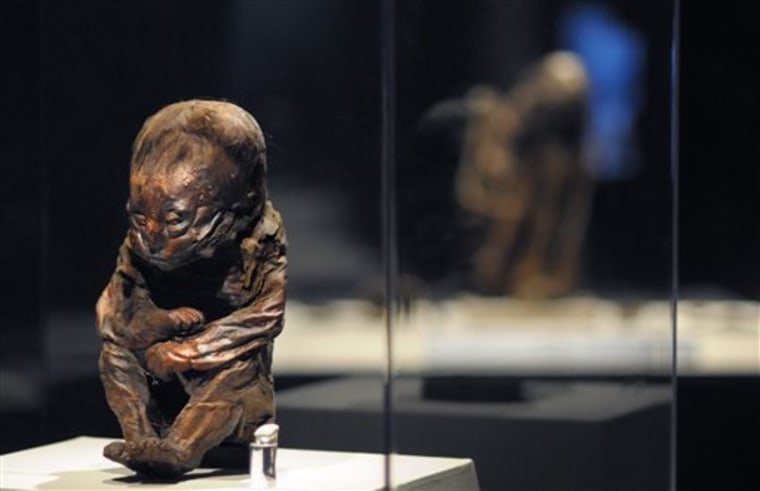 A Pre-Columbian Peruvian mummy from approximately 6,500 years ago is displayed at the "Mummies of the World" exhibit June 28 in Los Angeles, in preparation for the new exhibit's opening at the California Science Center. 